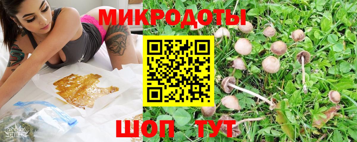 Псилоцибиновые грибы Cubensis Большой Камень